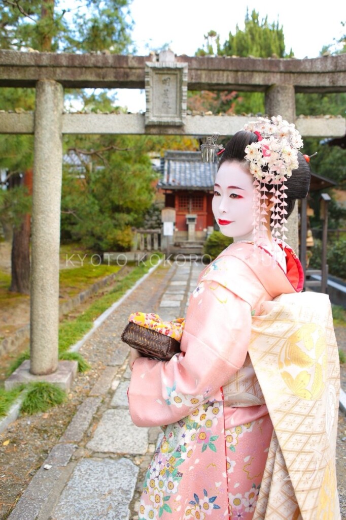 お客様からお寄せいただいた写真