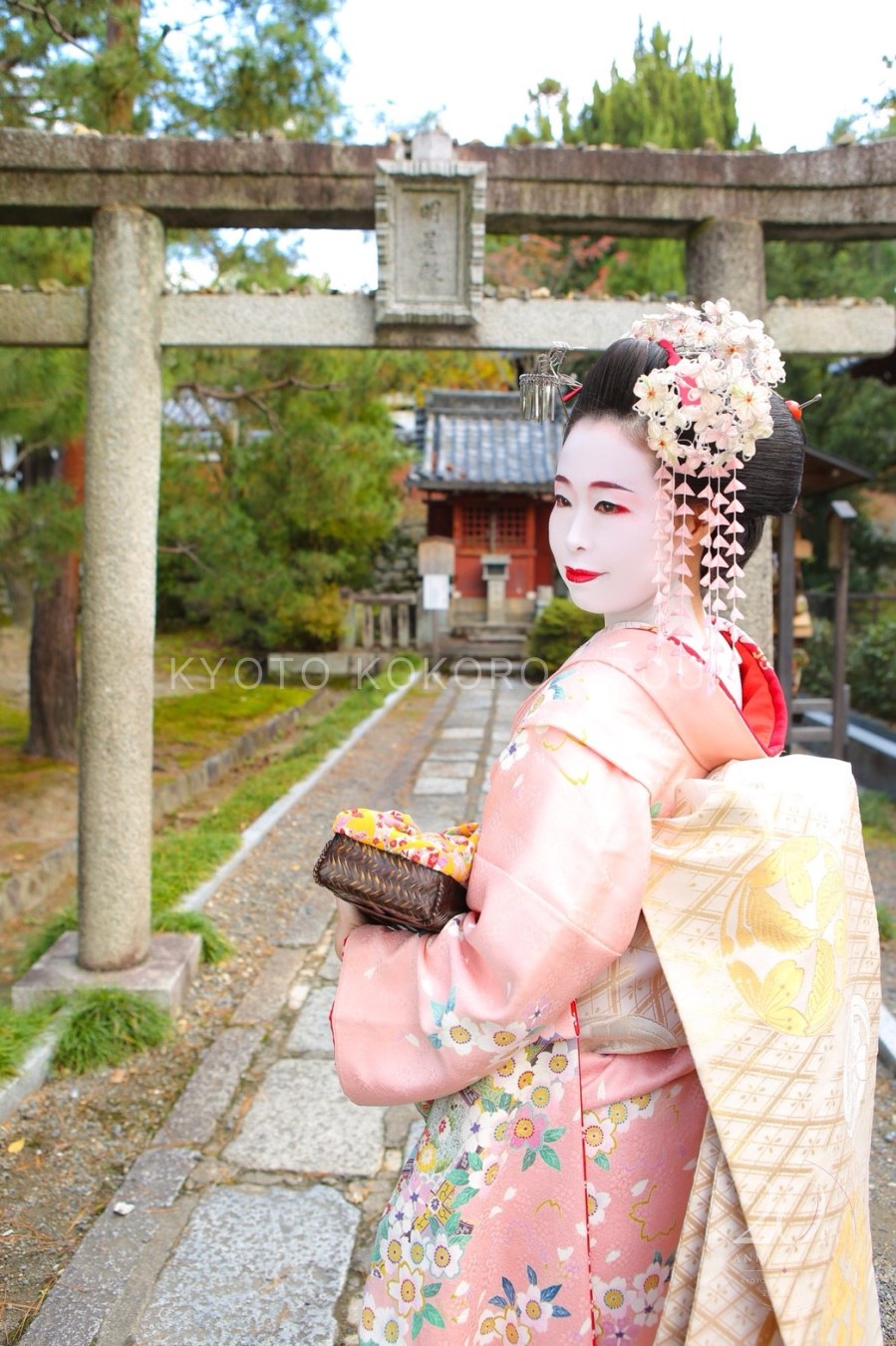 お客様からお寄せいただいた写真